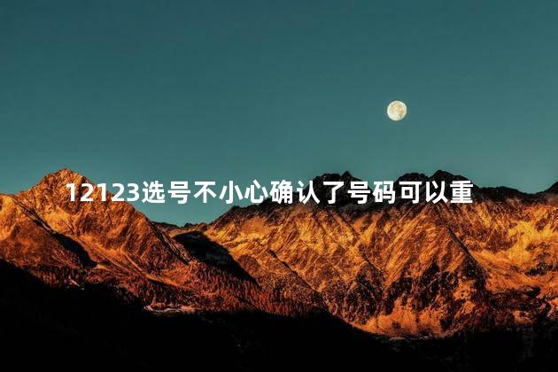 12123选号不小心确认了号码可以重新选吗 12123上选号成功了还能换么